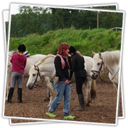 Reitunterricht mit den Ferienkindern